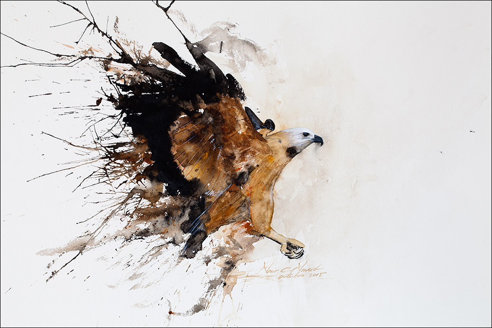 Aquarela / Aquarela - 2015