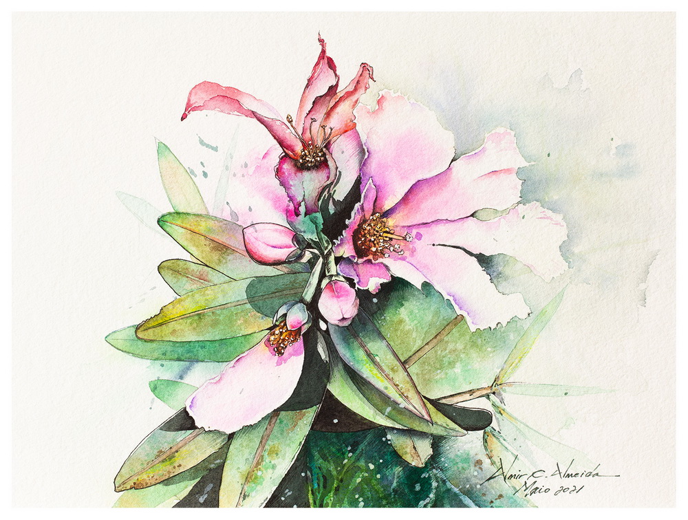 Técnica mista com Aquarela