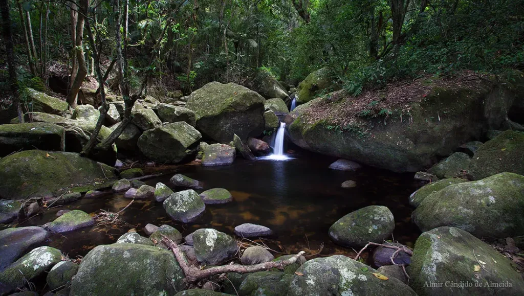 Riacho em Ubatuba - SP