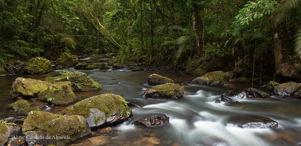 RPPN Parque do Zizo - São Miguel Arcanjo - SP