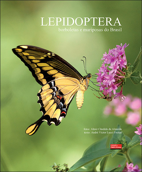 Livro Lepidoptera